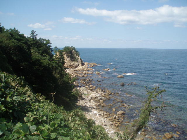 �M�ʍ铔��ʐ^