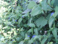 �M�ʍ铔��Q�T