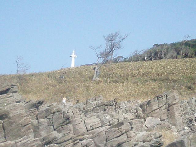 �S�i�i�쑤�j