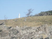 �S�i�i�쑤�j
