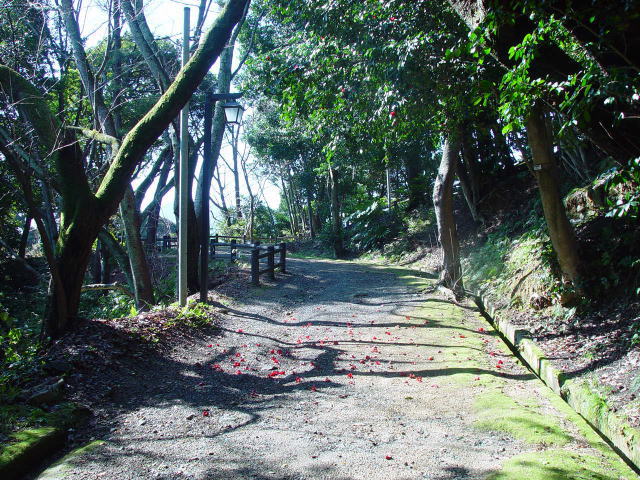 �V�����r���i�R���j