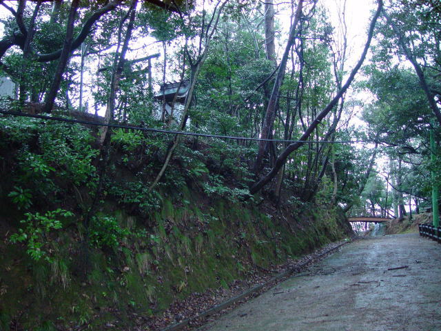 �V�����r��