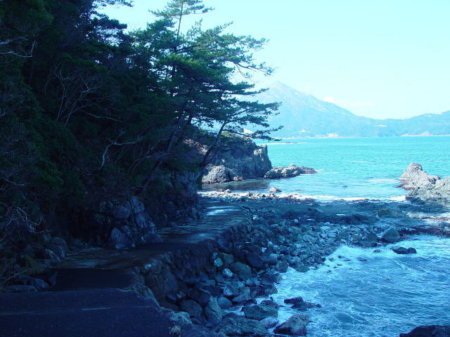 �V�����i�C�݁j