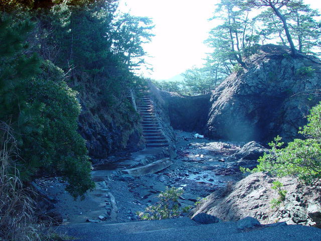 �V�����i�C�݁j�@