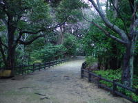 �V�����r���i�R���j