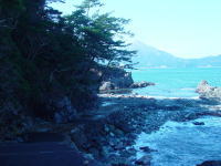 �V�����i�C�݁j