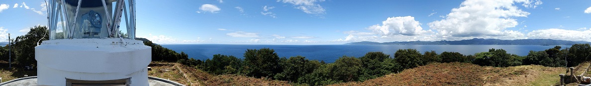 ���Ζ�����p�m���}�ʐ^