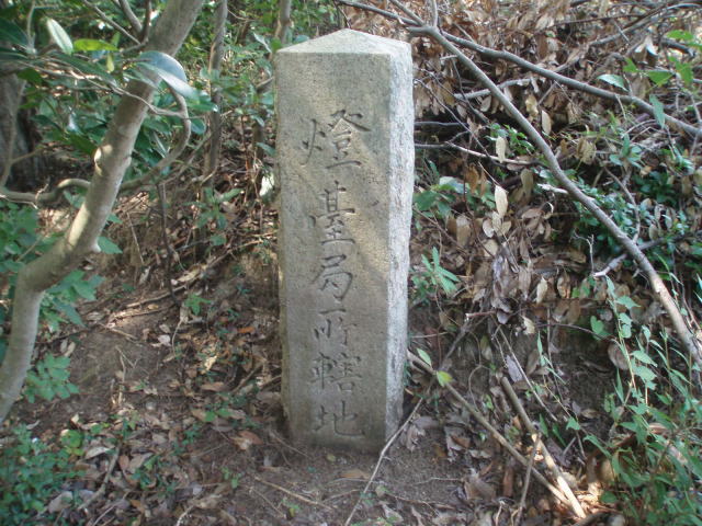 �~�n���E�W