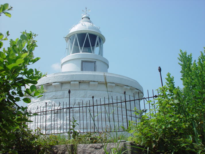 ���Ζ�����ʐ^