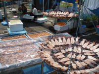 ��_������Q�T