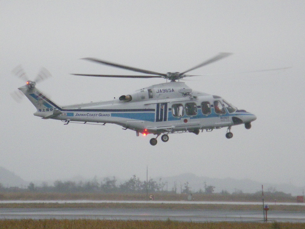 MH973�i���́A�݂قÂ�Q���j�̎ʐ^