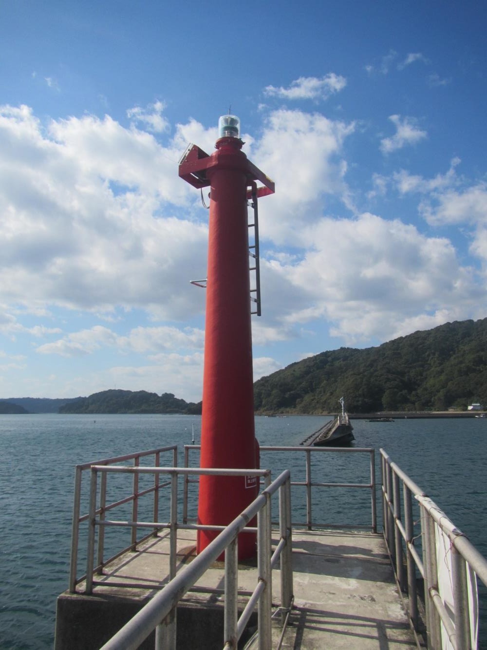 �����`��h�g�瓔��S�i�ʐ^