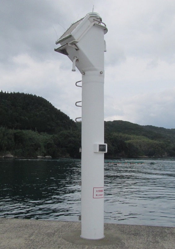 �����{�V�Y�`���h�g�瓔��S�i�ʐ^