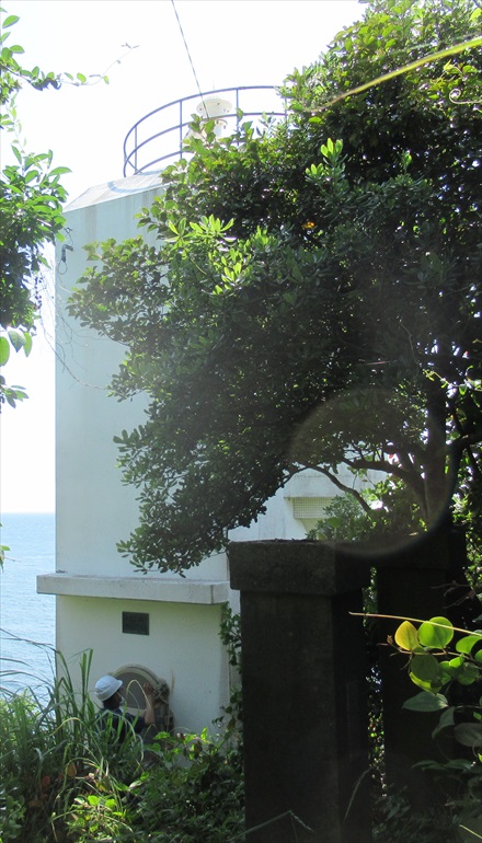 �������@����S�i�ʐ^