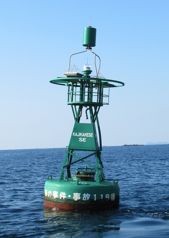 ���v���`�J�a�J�P���쓌�����W�S�i�ʐ^