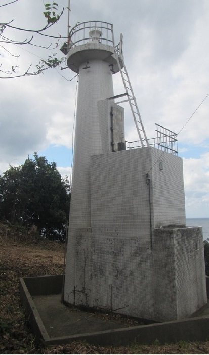 ���v���`�q�Í铔��S�i�ʐ^