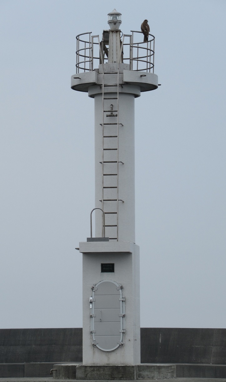 ���ؖ�`�a�h�g�瓔��S�i�ʐ^