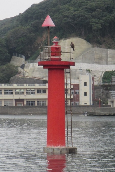 �V�m�Y�����k���W�S�i�ʐ^