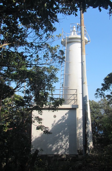 ���铔��S�i�ʐ^