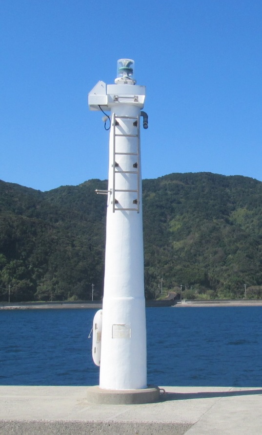 �����Ǎ`���h�g�瓔��S�i�ʐ^