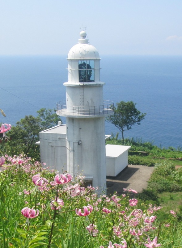 �ފ|�铔��S�i�ʐ^