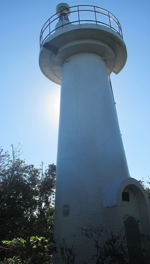 �F��������S�i�ʐ^