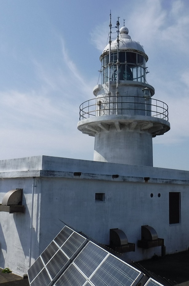 ���_������S�i�ʐ^