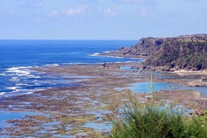 イノーカレンダー　潮干狩りカレンダー