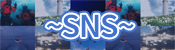 SNS