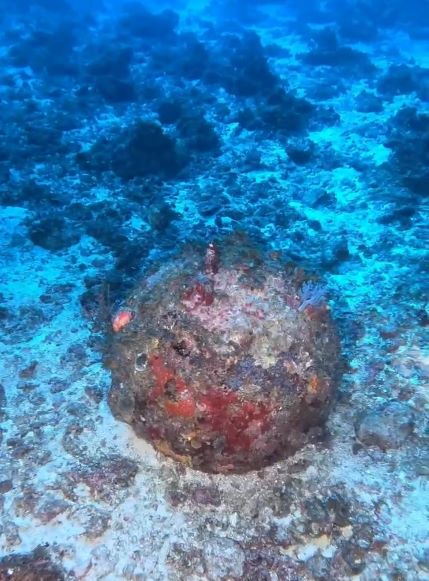海底に眠る不発弾の写真