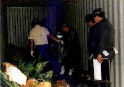 pic14.jpg (11388 �o�C�g)