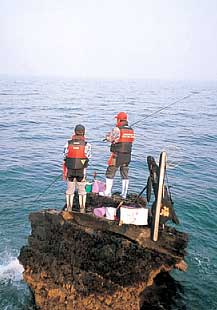 ��ނ���y����