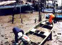 �p�D�̕s�@����