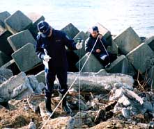 �R���N���[�g�Г��s�@������������