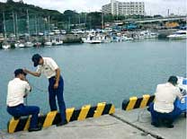 �����e���r�J�����ɂ��Ď��E�����