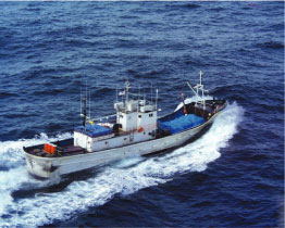 �\�o�������ł̕s�R�D