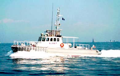 �~���ɂ����������^������