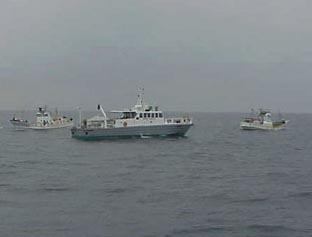 ���Ǝ���D�ƘA�g���Ă̎�����