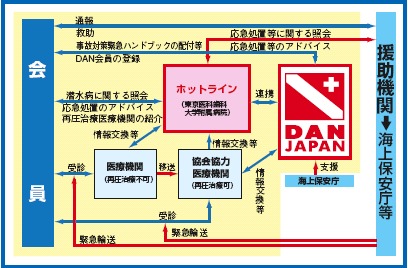DAN JAPAN�z�b�g���C���T�[�r�X�T�O�}