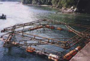 投棄された養殖筏