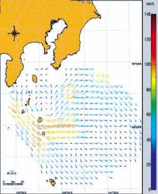 �C�m�Z�g���[�_�[�ɂ��\�w���ϑ�