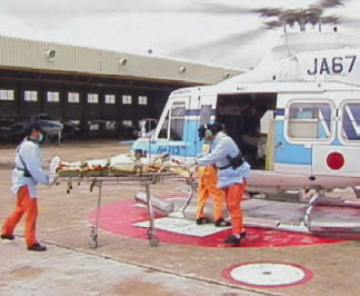 �}���A���̗l�q