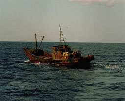 ���A�e�^�D