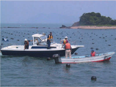 �i�ʐ^�j�C����S�p�g���[��