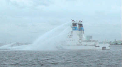 �i�ʐ^�j�����P���̗l�q