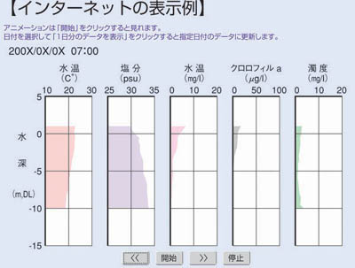 �y�C���^�[�l�b�g�̕\����z