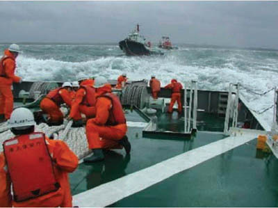 �����q���