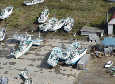 �Ôg�̉e���ŗ���ɑł�������ꂽ�D�i����15�N�\�����n�k�j