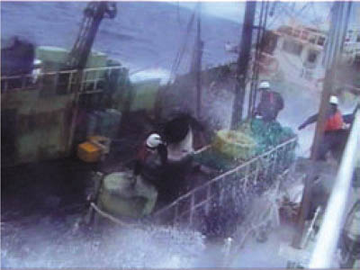 �����̈ێ�