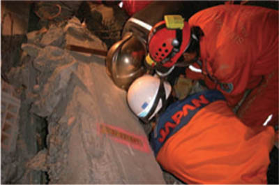 �����O�֌W�@�ւƂ̘A�g�E����